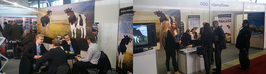 РТЛ Сервис на выставке Золотая осень